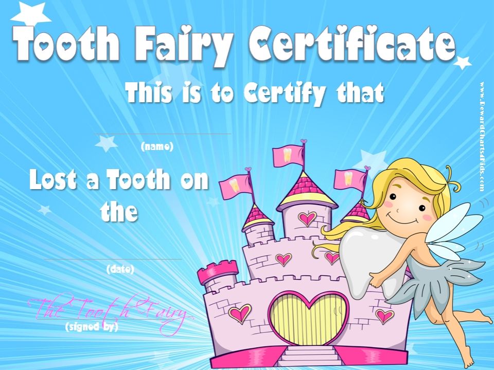 tooth fairy 2 4 9 17